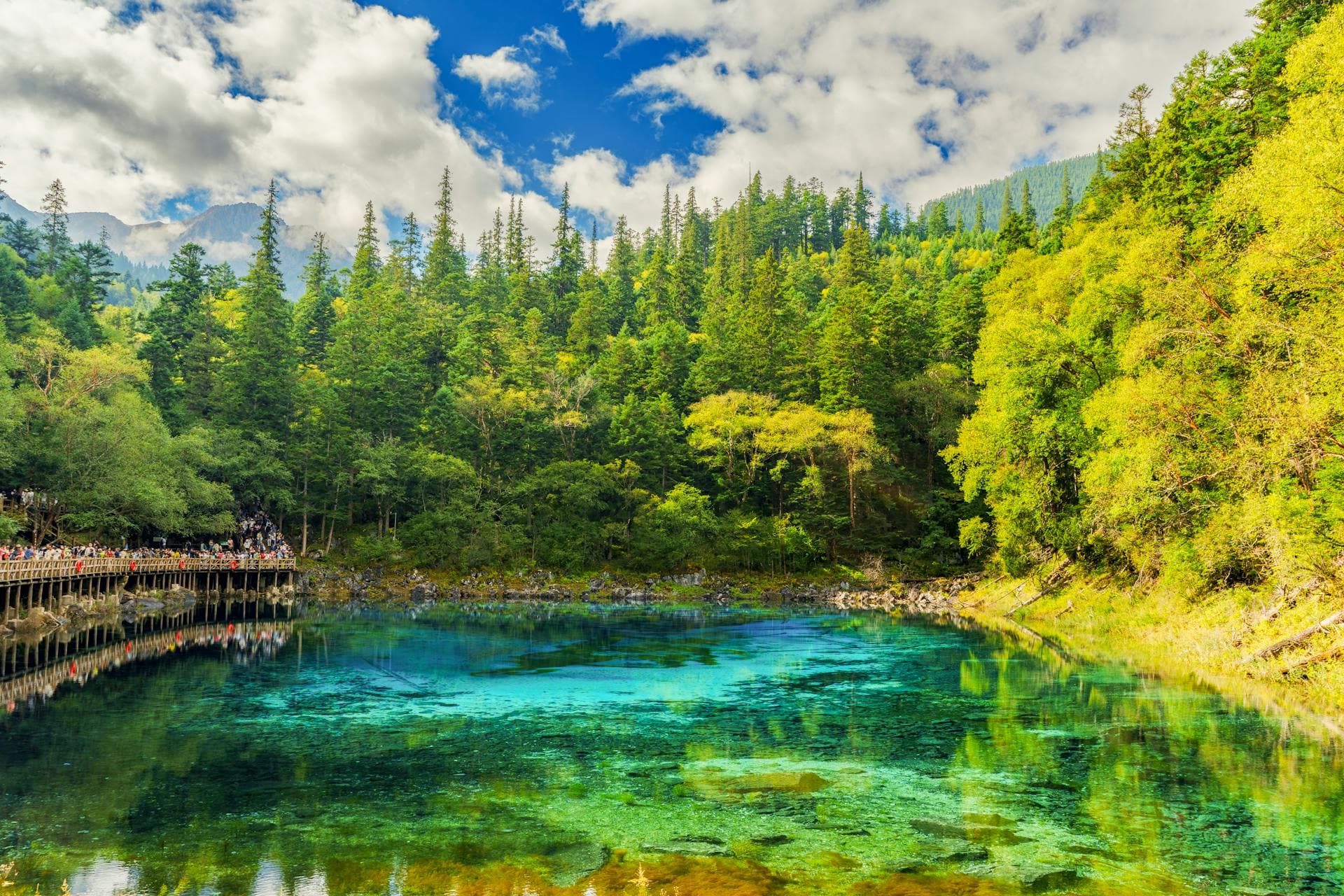 Five-Flower Lake at Jiuzhaigou, mineral-stained shallows under turquoise water