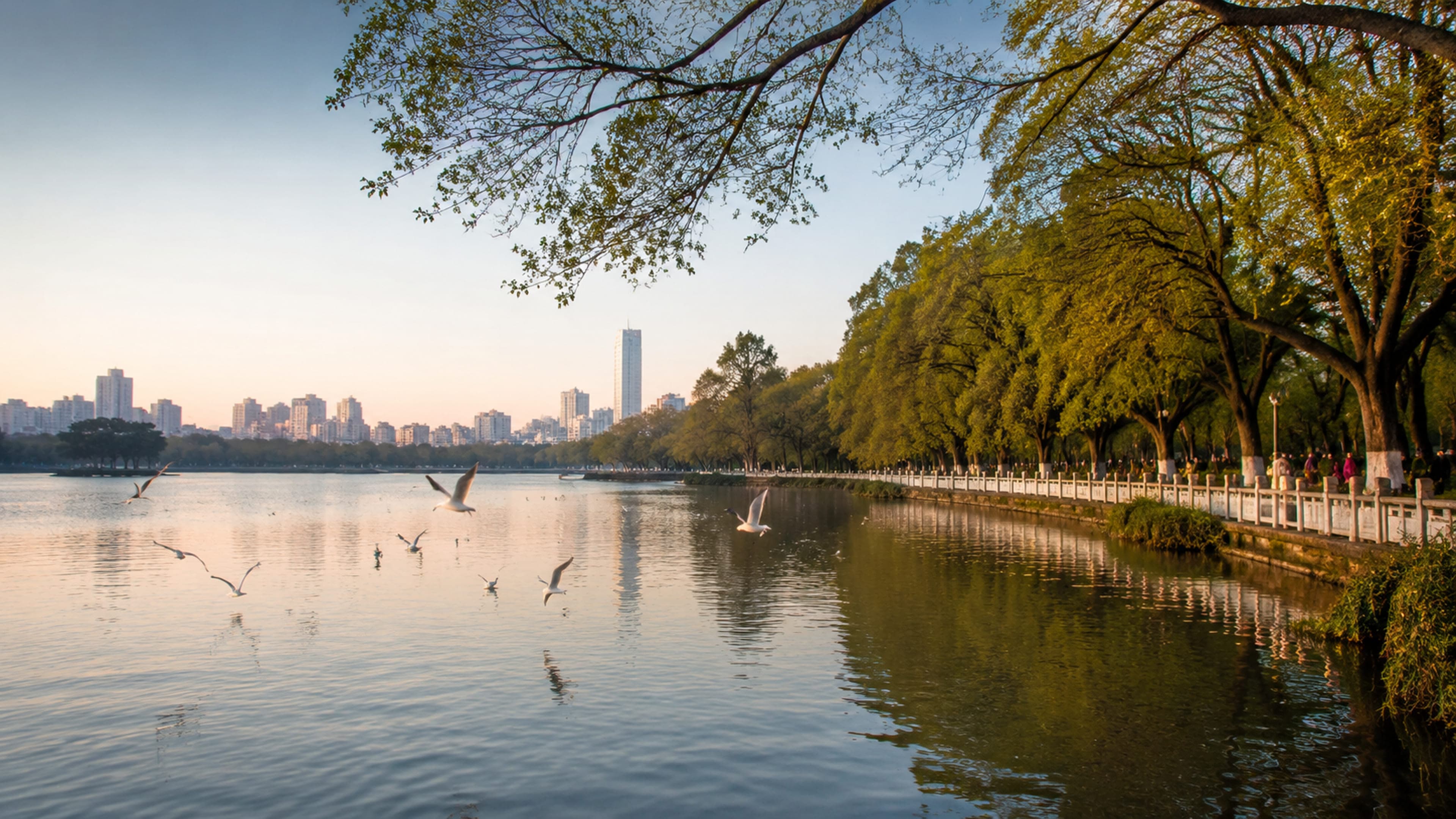 Waterside paths and dawn light around Green Lake in Kunming