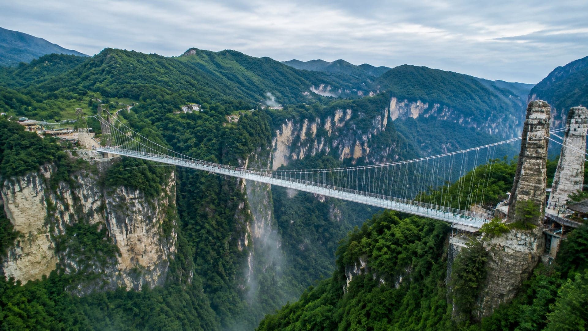 Zhangjiajie Grand Canyon glass bridge across a green canyon