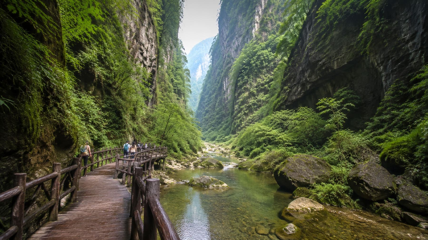 Forested Zhangjiajie Grand Canyon walkway between cliffs