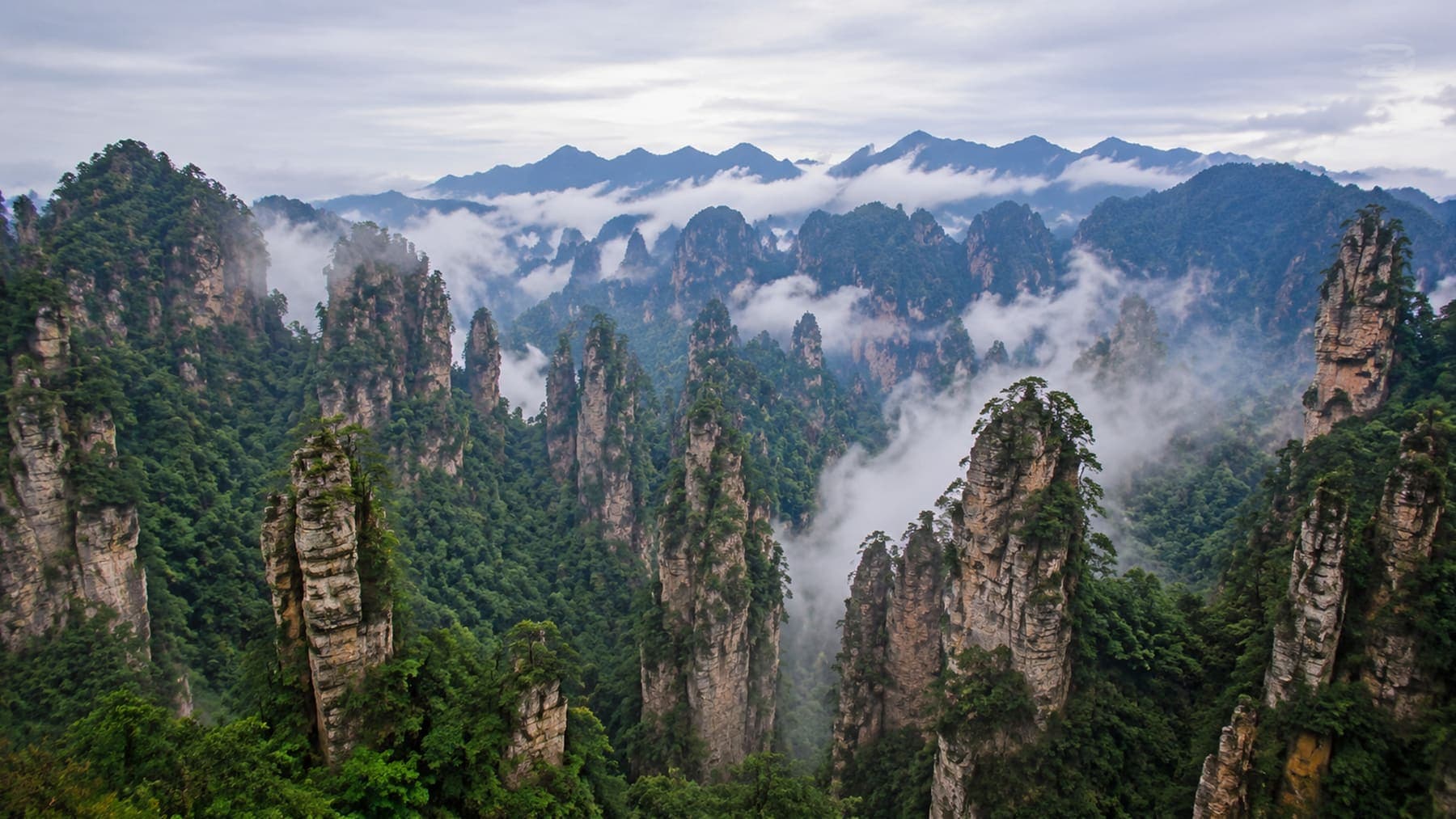 Wulingyuan sandstone peaks and mist around Tianzi Mountain