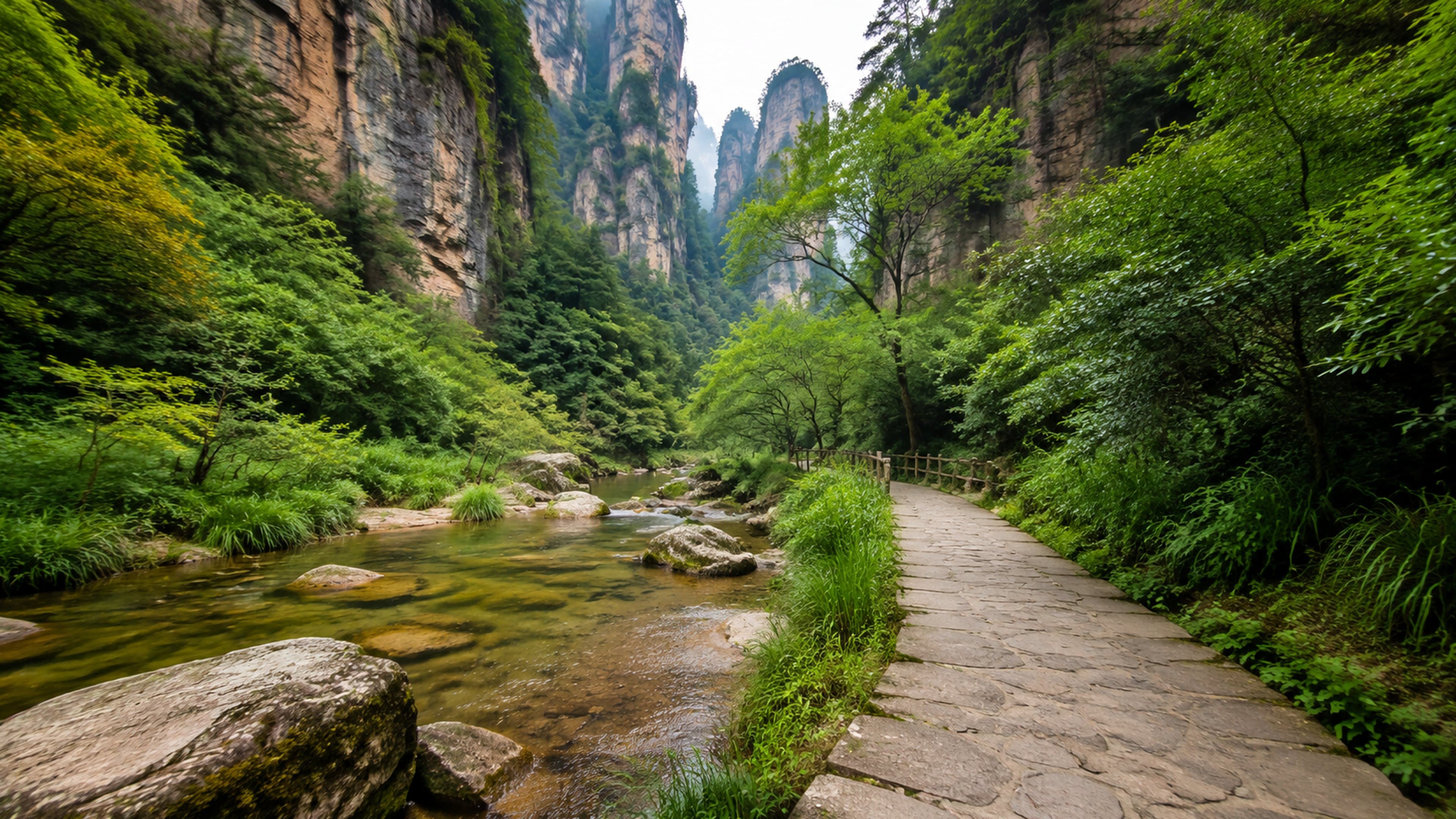 Calmer forest trail beside a stream