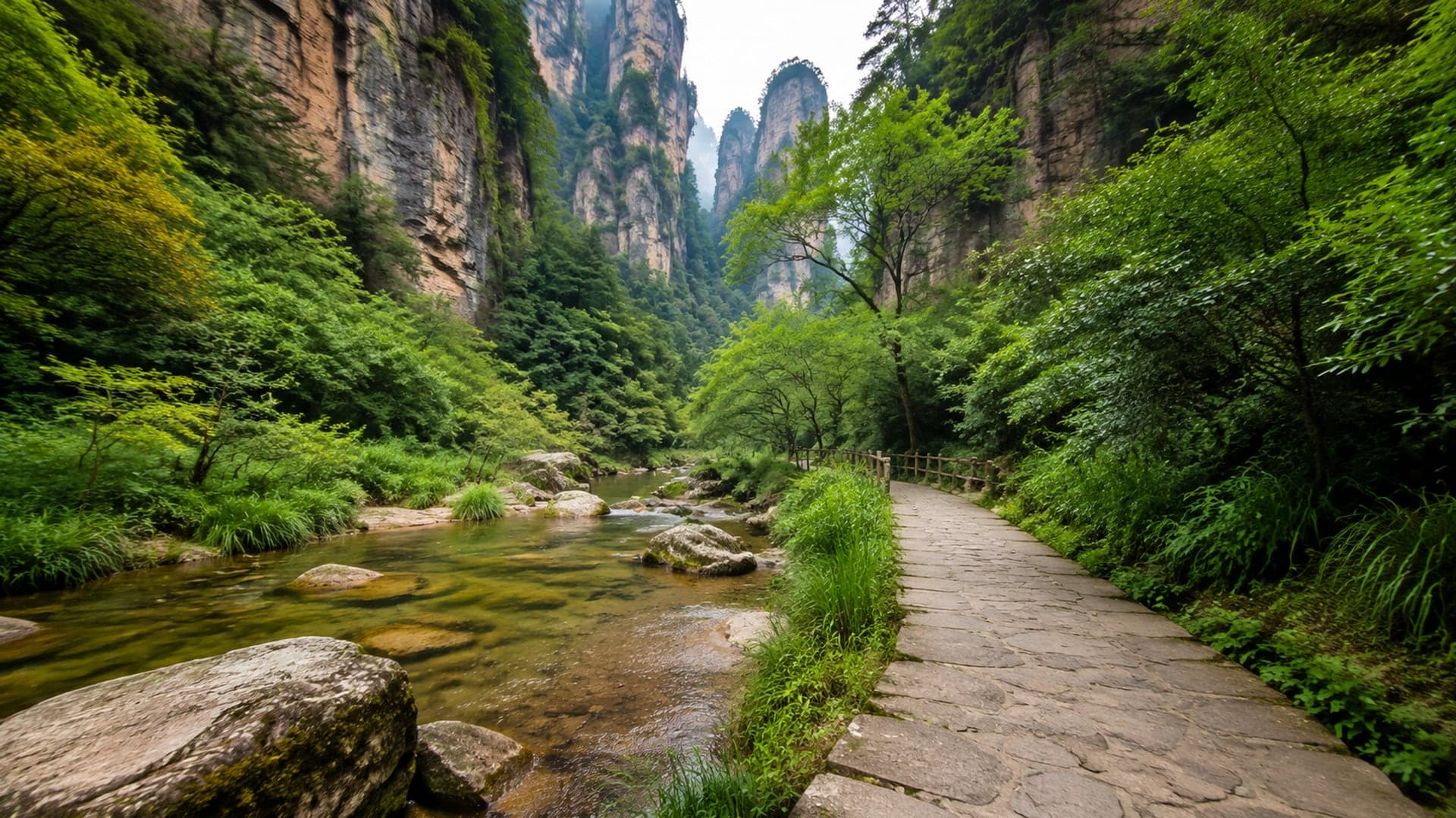 Golden Whip Stream forest trail under green cliffs in Zhangjiajie