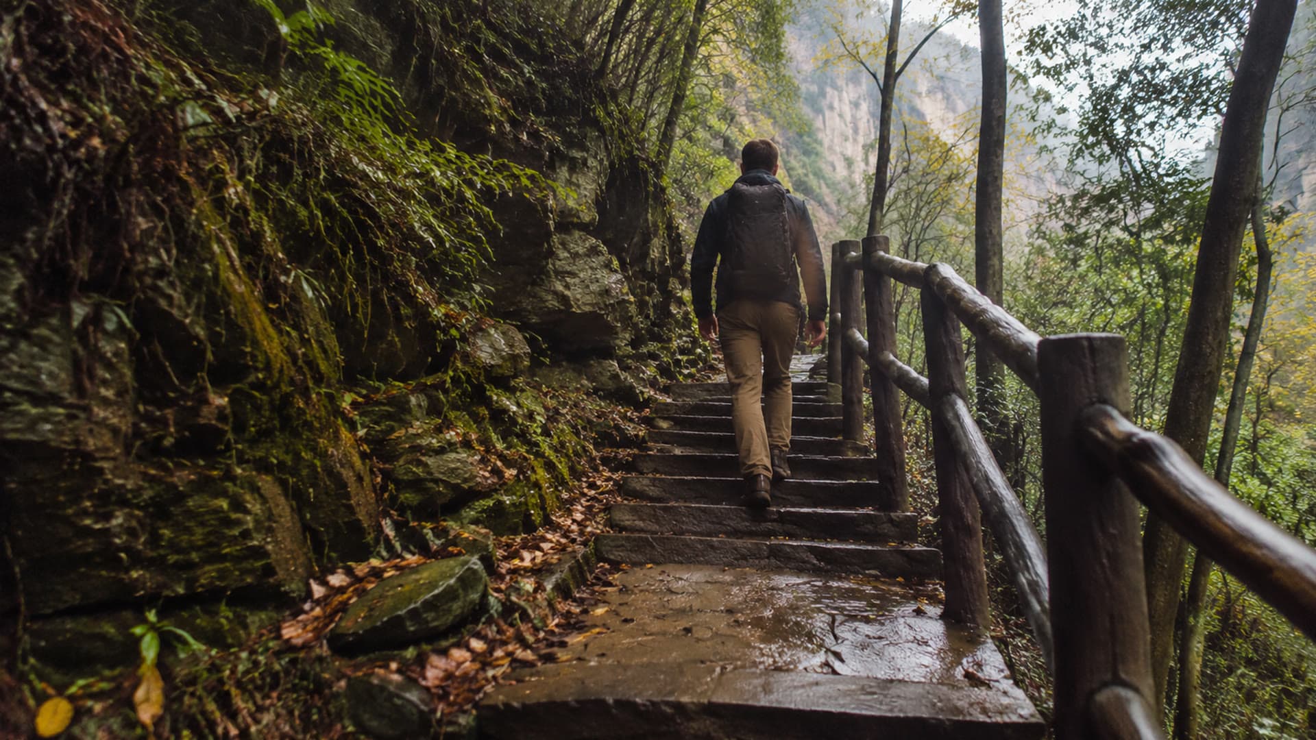 Forest steps in Zhangjiajie for a slower first visit