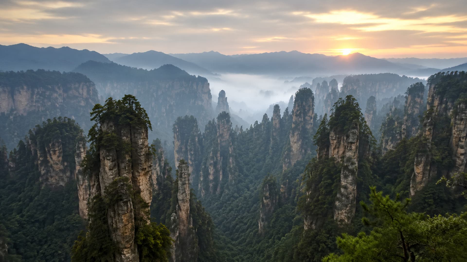 Zhangjiajie sandstone pillars in morning mist