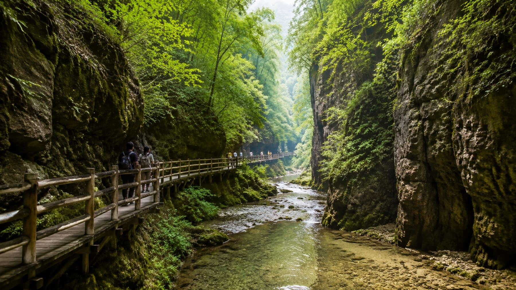 Forested Zhangjiajie Grand Canyon walkway and stream