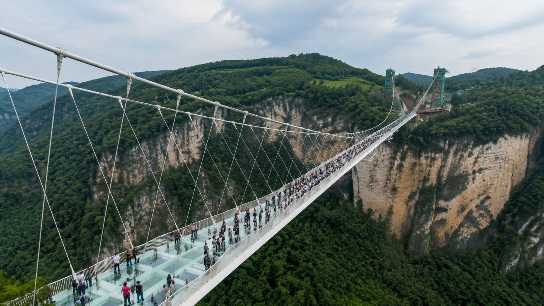 Zhangjiajie Grand Canyon glass bridge stretching across green cliffs