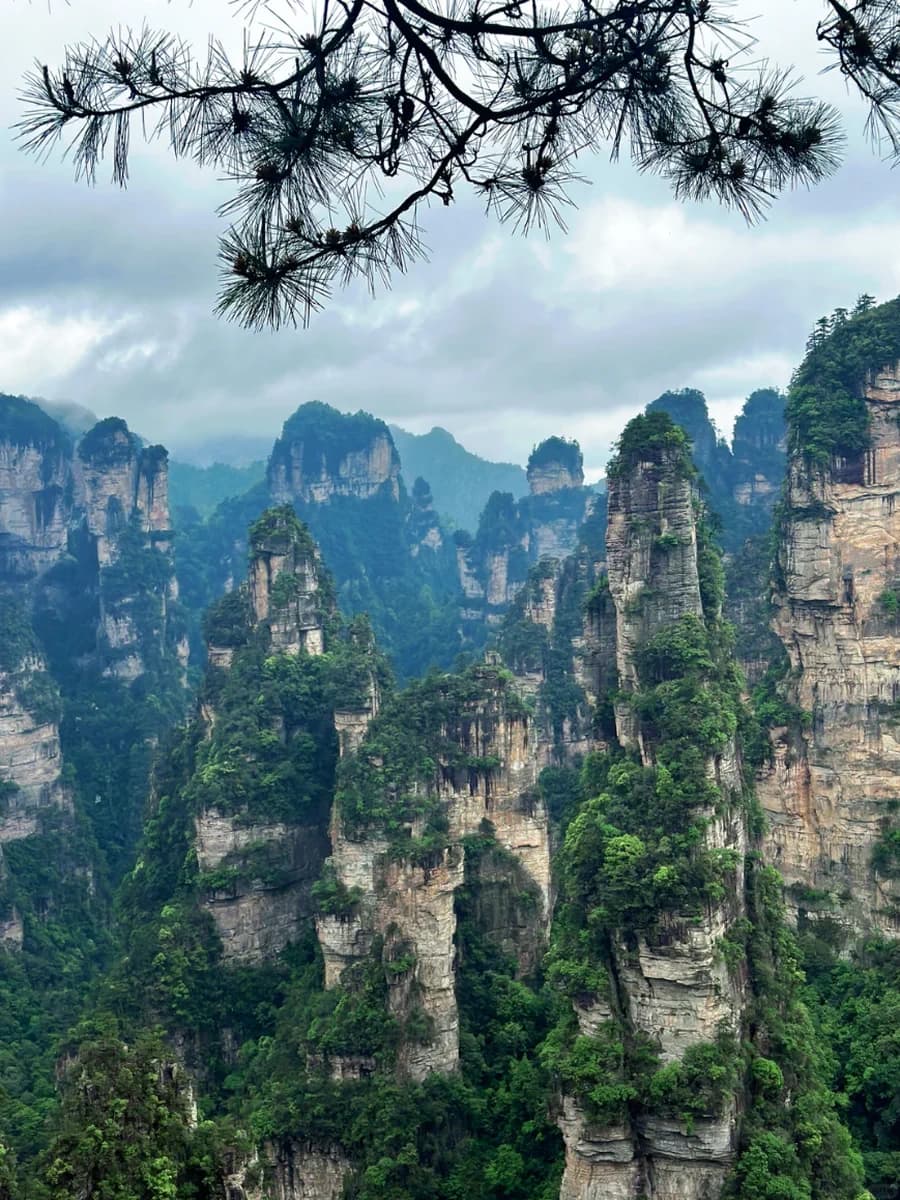 Forested sandstone peaks across Wulingyuan in Zhangjiajie
