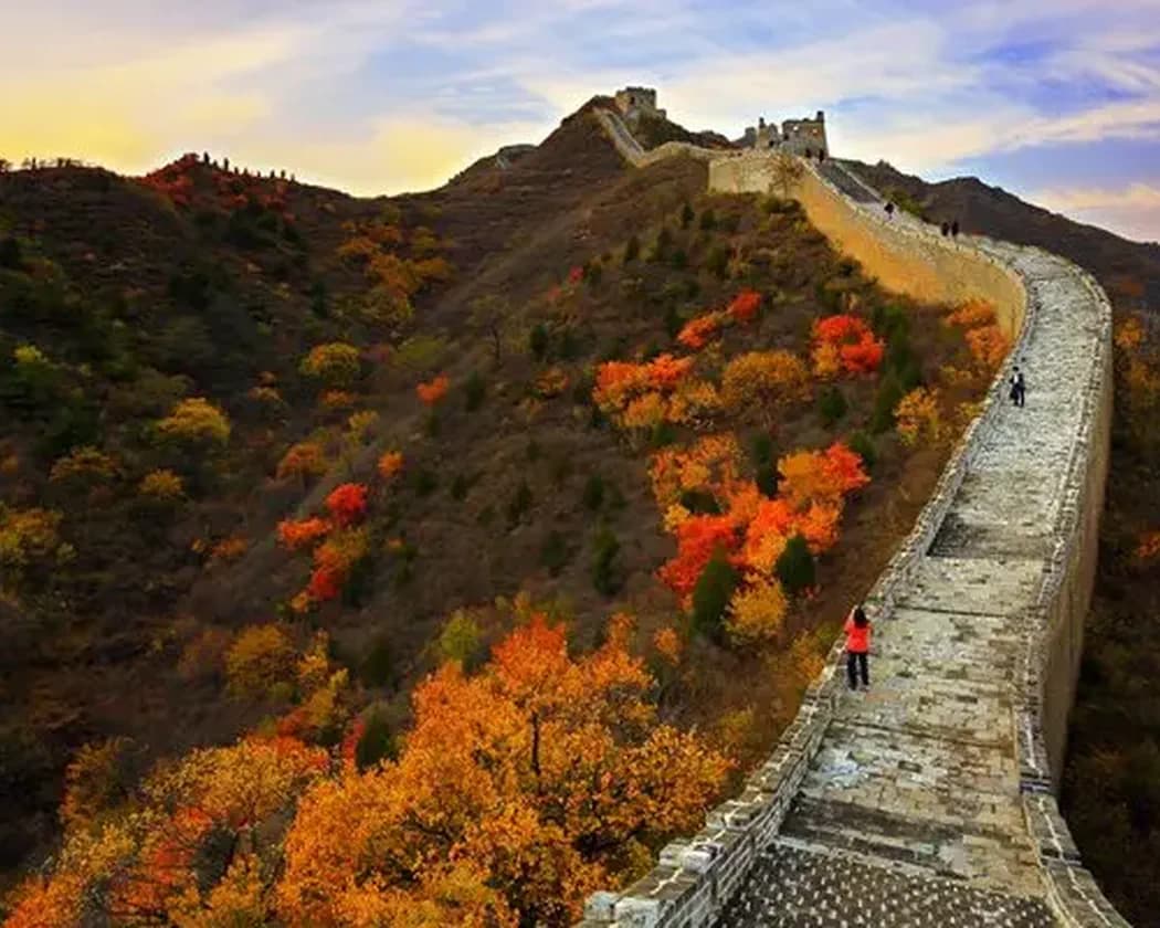 The Great Wall crossing mountains covered in autumn color